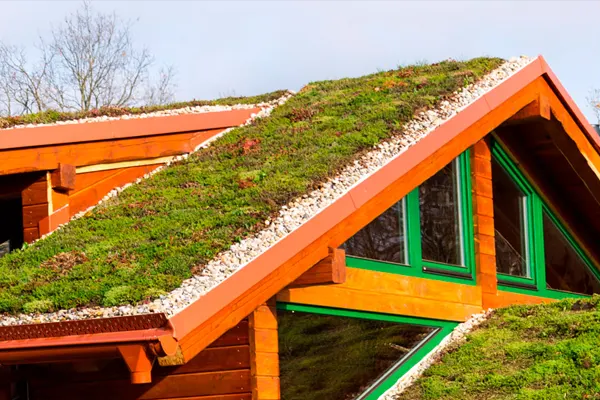 Extenzivní zelená střecha
