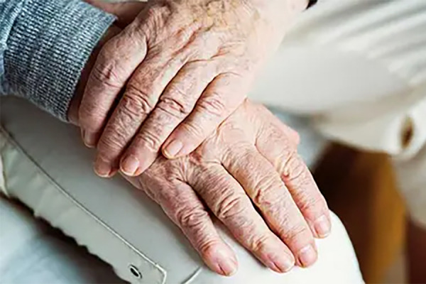 Hansa Senior program